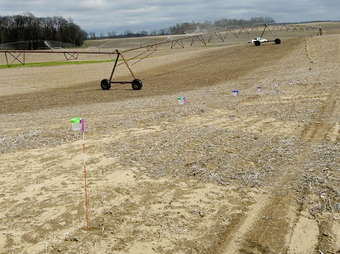 Field with irrigation equipment and flagged markers placed in a line, highlighting variability and uniformity across a test area.
